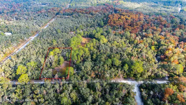 0 Rose Bloom Lot 7 Avenue, Webster, FL, 33597