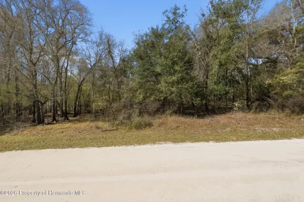 0 Smallman Street, Webster, FL, 33597
