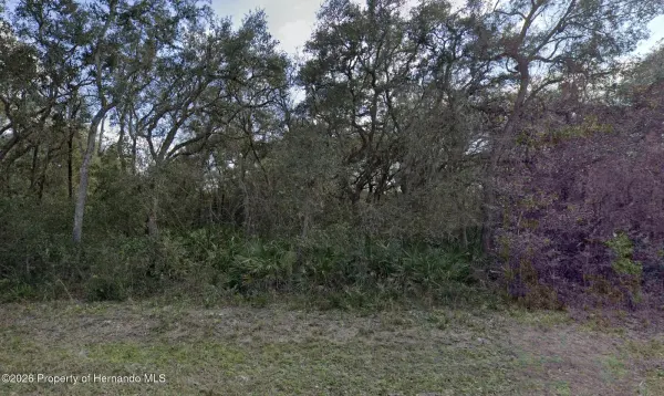 7149 Alloy Street, Webster, FL, 33597