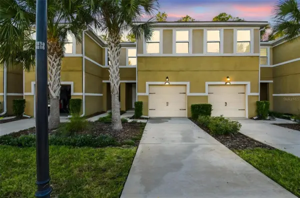 17856 Althea Blue Place, Lutz, FL, 33558