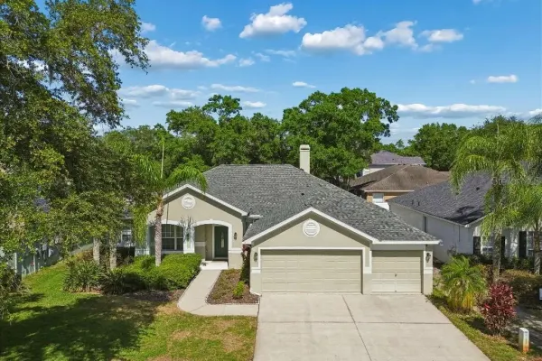 15217 Octavia Lane, Odessa, FL, 33556