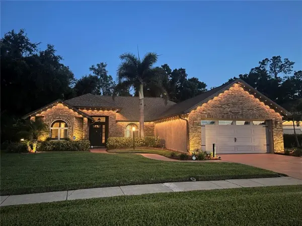 1015 Ventana Drive, Ruskin, FL, 33573