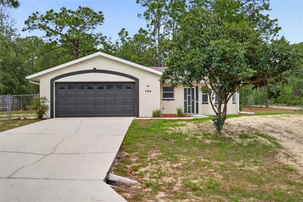 799 W Wycliffe Lane, Citrus Springs, FL, 34434