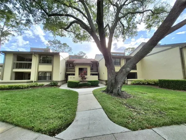 50 Woodlake Place, Oldsmar, FL, 34677