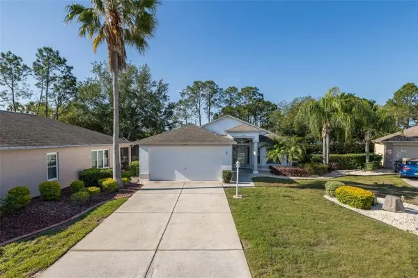 11428 Hidden Cove Court, Trinity, FL, 34655